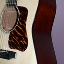 Rockbridge Mahogany/Adirondack Spruce Slope Dread Guitar
